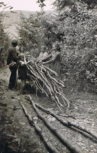 Holzsammler 1