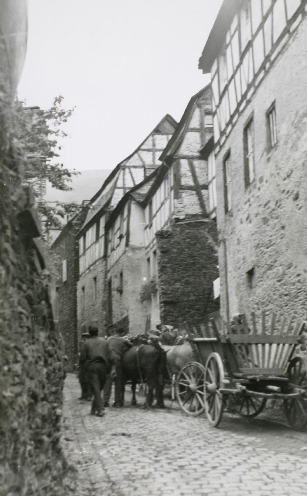 Ochsengespann auf der oberen Bachstrasse