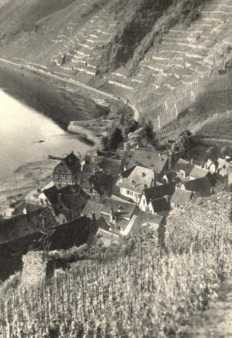 Süd Stadtmauer von Burg aus gesehen Süd Stadtmauer von Burg aus gesehen