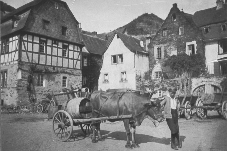 Karr mit Kuh