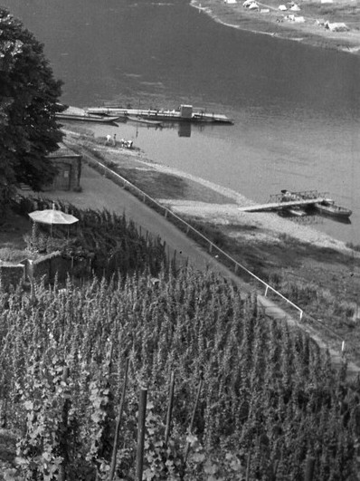 Uferstrasse um 1950 Uferstrasse um 1950